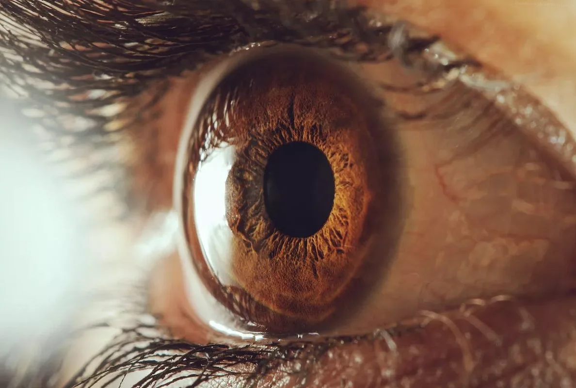 Особенности роговицы глаза