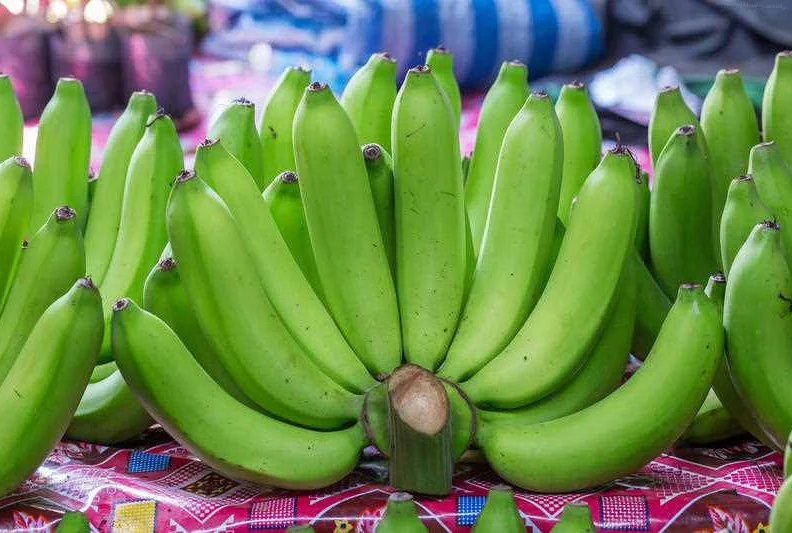 Биомасса зеленого банана: что это и как она помогает снизить вес?